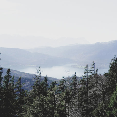 Berge mit Bäumen und Ausblick auf einen See