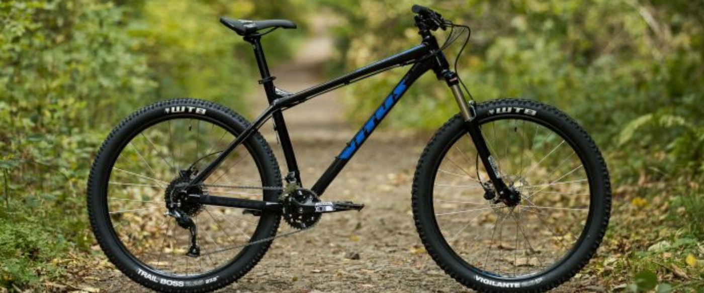 vitus hardtail