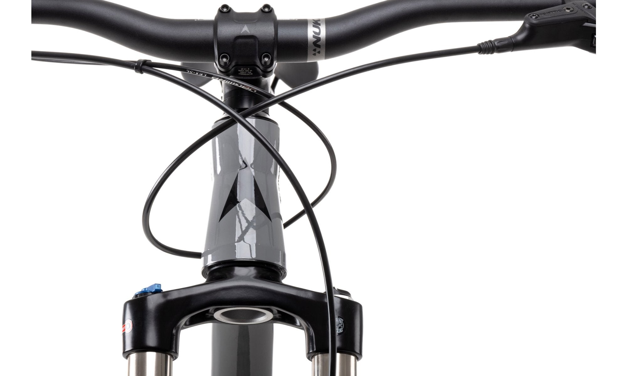 vitus nucleus 29 vr 2019