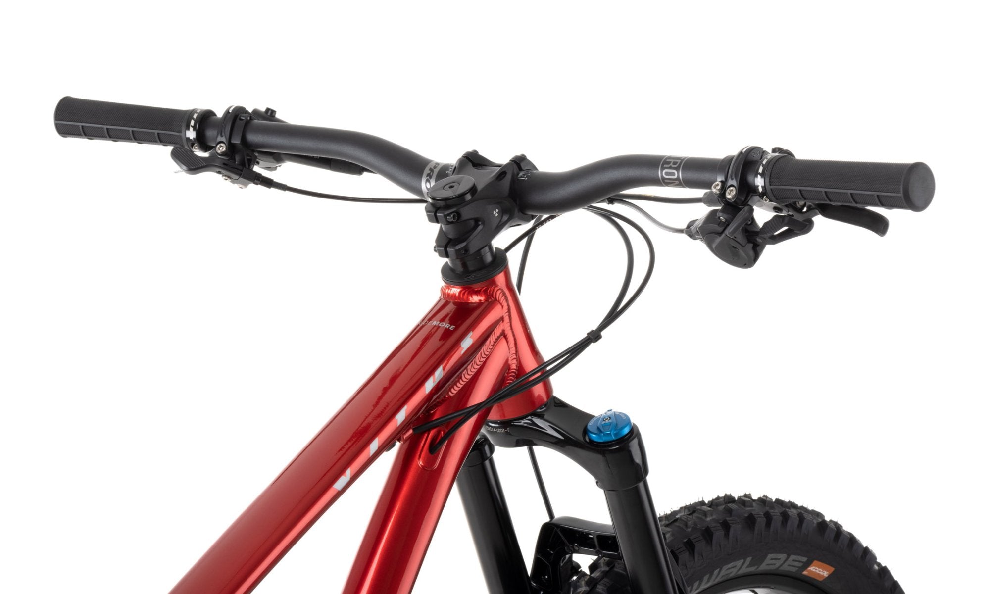 2021 vitus sentier