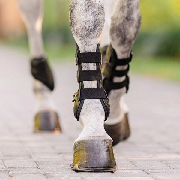 EquiFit Font and Hind Boots