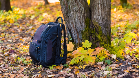 bag by a tree in autumn