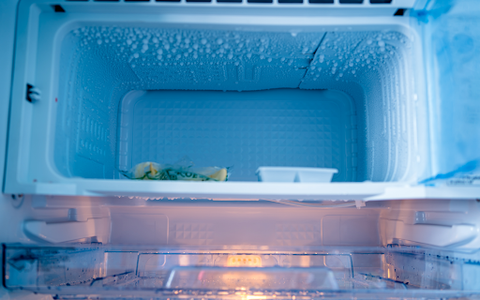 empty freezer