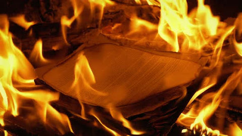 fireproof bag in blazing hot fire