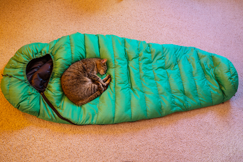 A green sleeping bag with a cat lying on it