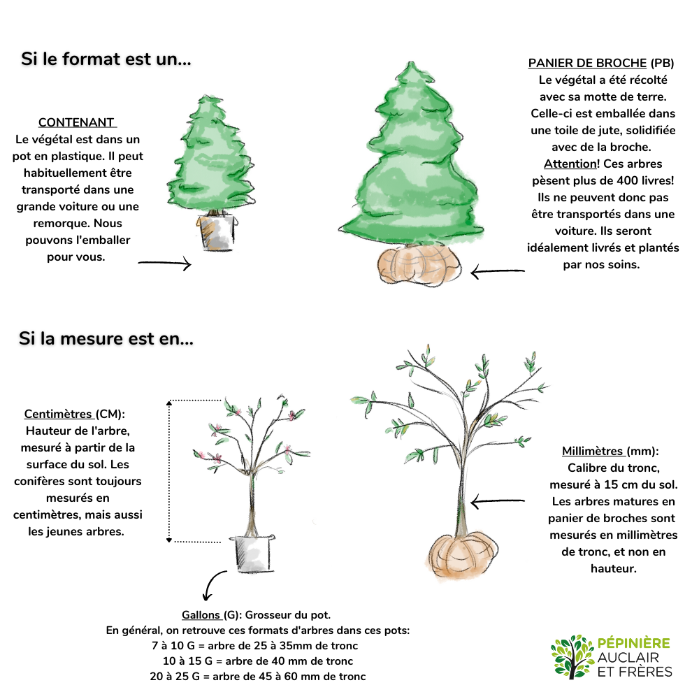 Chaux Soufrée Liquide Green Earth 1L – Les arbres de la Vallée