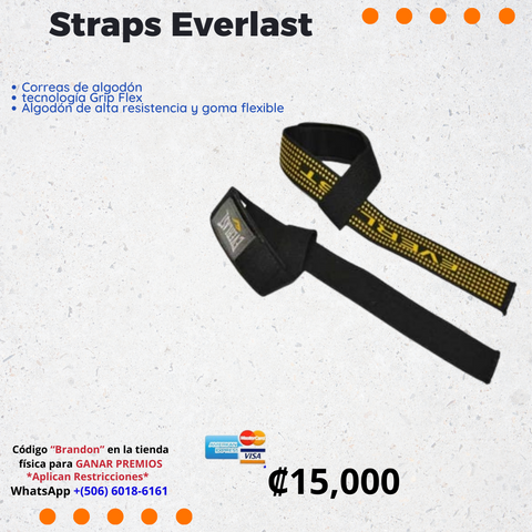 straps everlast