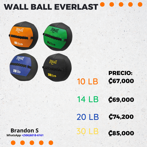 wall ball everlast