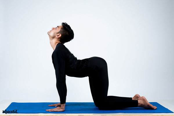 Cat cow yoga pose called Chakravakasana