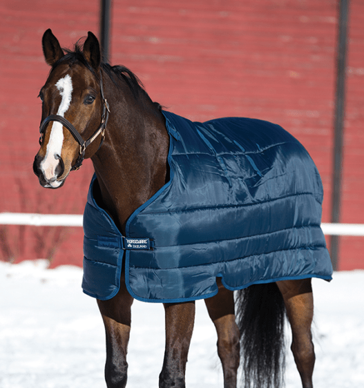 Horseware Amigo Insulator Stable Blanket (100g Lite)