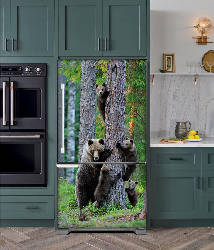magnetic bear family fridge skin on bottom freezer fridge model