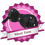 meet-tom
