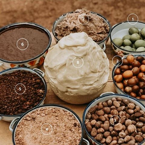 From the Fruit to the Nut to the Butter: The Shea Process – R&R