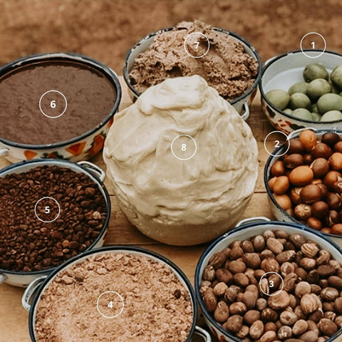 From the Fruit to the Nut to the Butter: The Shea Process – R&R Luxury Ghana