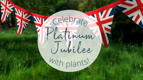 Celebrate Platinum Jubilee with plants