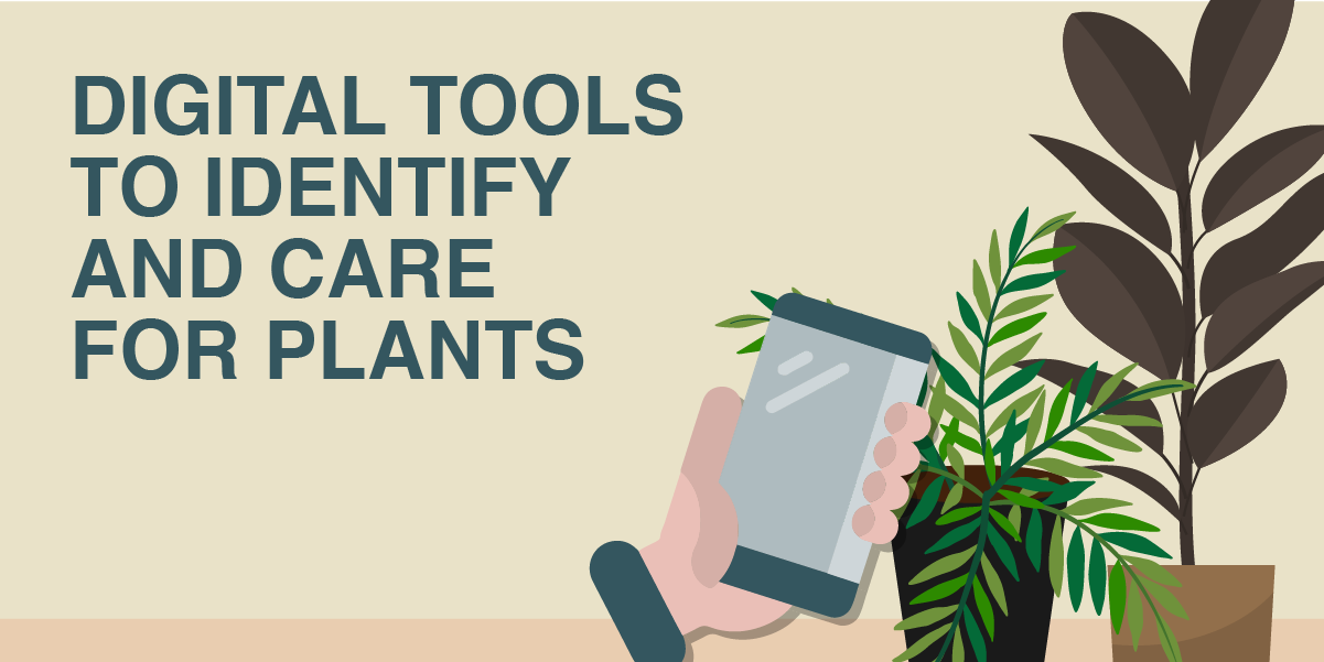 Plant identifying apps