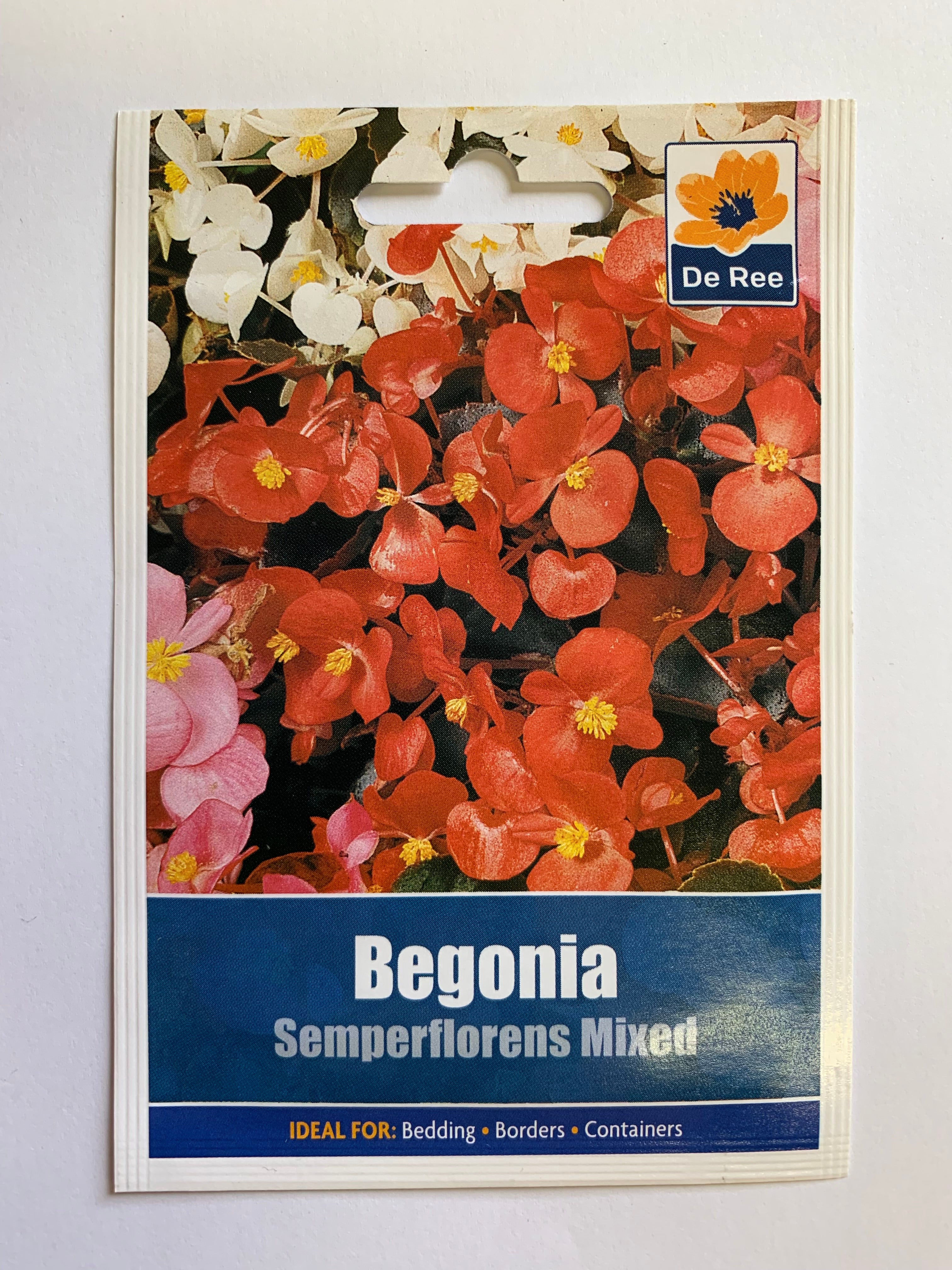 Begonia Semperflorens Mix | UCSFresh