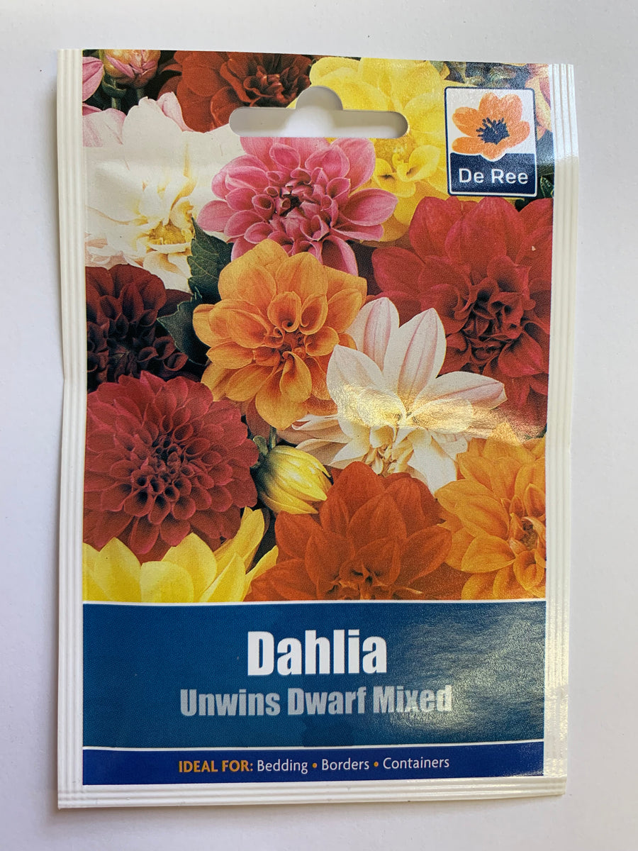 Dahlia Unwins Dwarf Mixed Ucsfresh