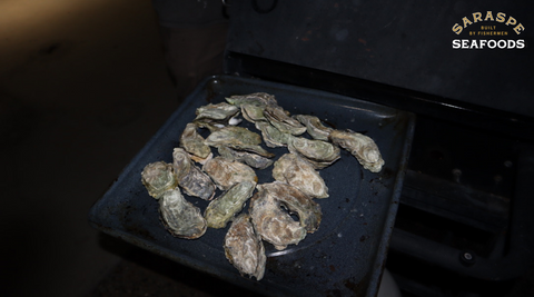 Easy way to shuck oysters! How to shuck oysters without a shucker. 