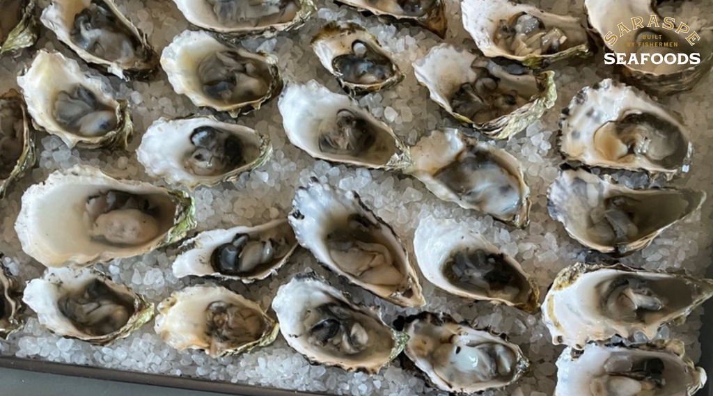 Grilled or Baked Oysters with Bacon Compound Butter is such a crowd pleaser for both oyster lovers, and oyster beginners. Easy to shuck with our alternative method for removing the top shell. 