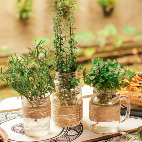 How to Set Up a Mediterranean-Inspired Al Fresco Celebration, Home Decor Blog by Domesticity Philippines.