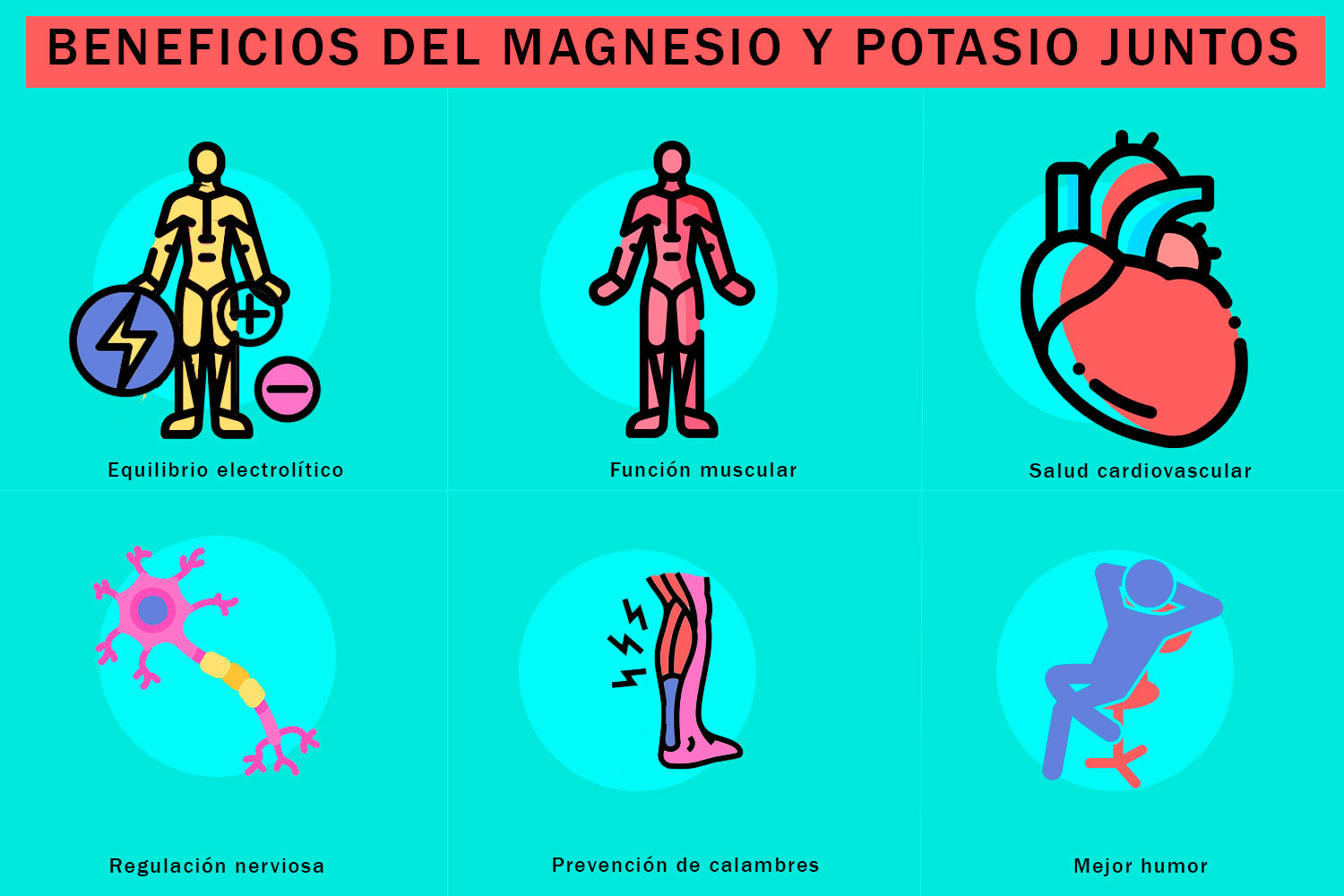 beneficios_del_magnesio_y_potasio_juntos_equilibrio_electrolitico_funcio_muscula_salud_cardiaca_regulacion_nerviosa