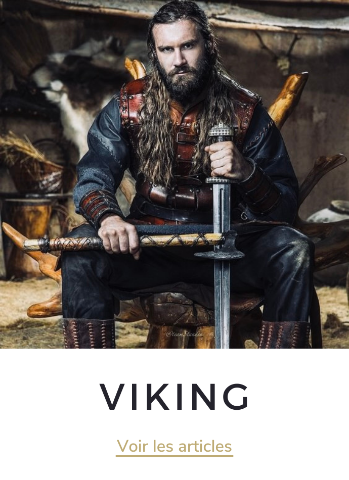 Blog viking