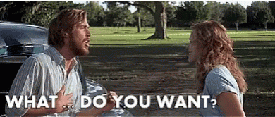 the notebook gif Noah asking Allie "what do you want?"