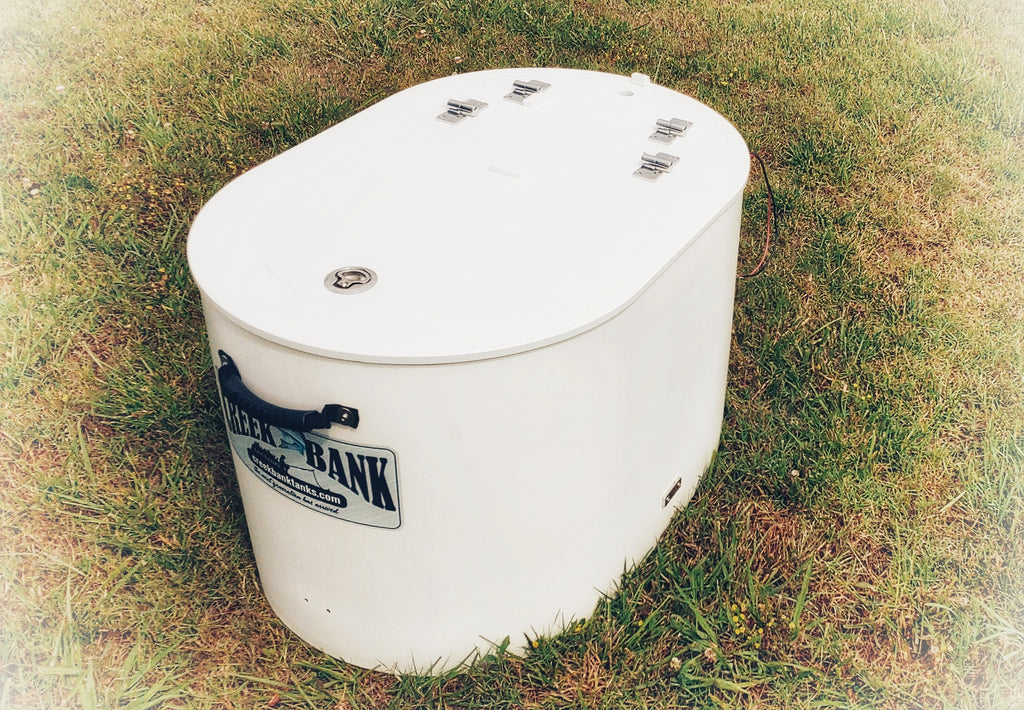 A bait tank is important when using live bait to catch hybrids and striped  bass