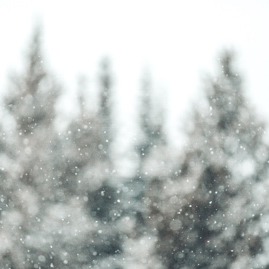 'Winter Wonderland' Touchless Mist Sanitizer