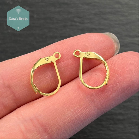Stainless Steel Hooks Gold Earring Findings 1 pair – Kara's Beads