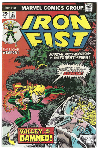 IRON FIST #1 8.0