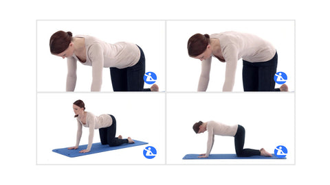 Cat Camel exercise for lower back pain