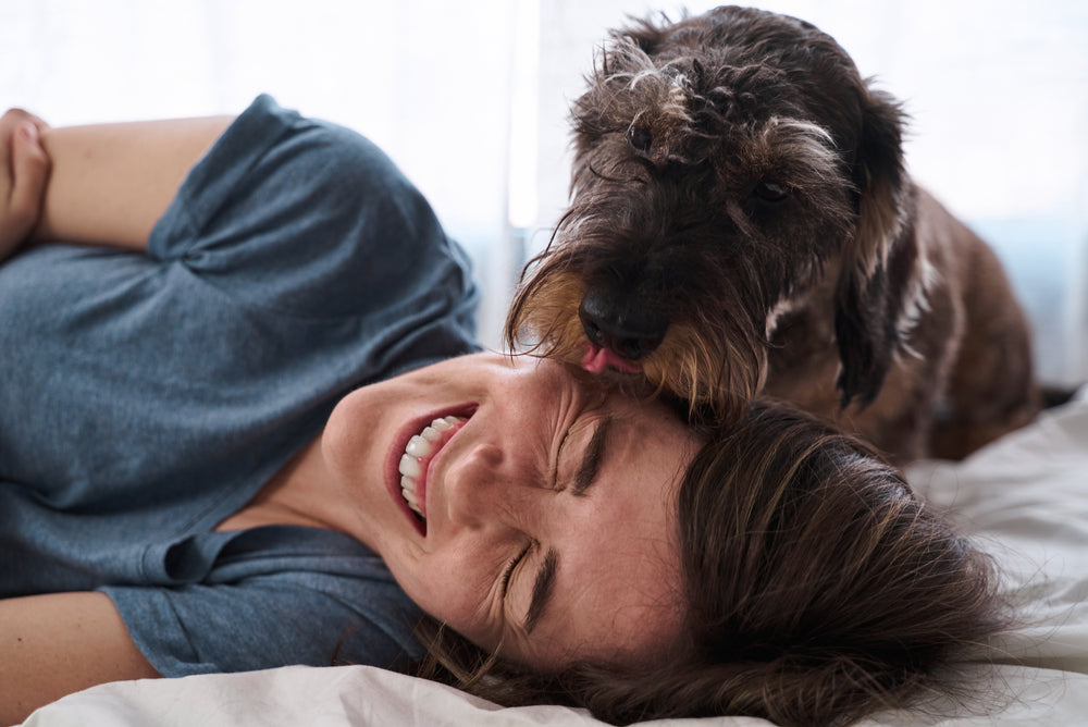 The Scary Reason You Should Stop Letting Your Dog Lick Your Face