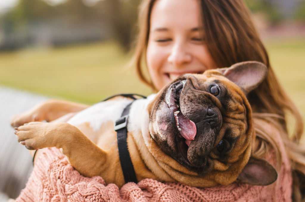 Happy Pet Owner With Dog