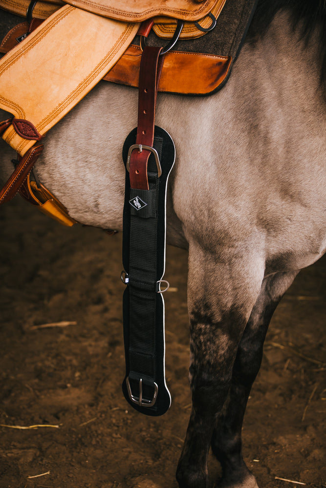 Western Neoprene Cinch - Equinnovations