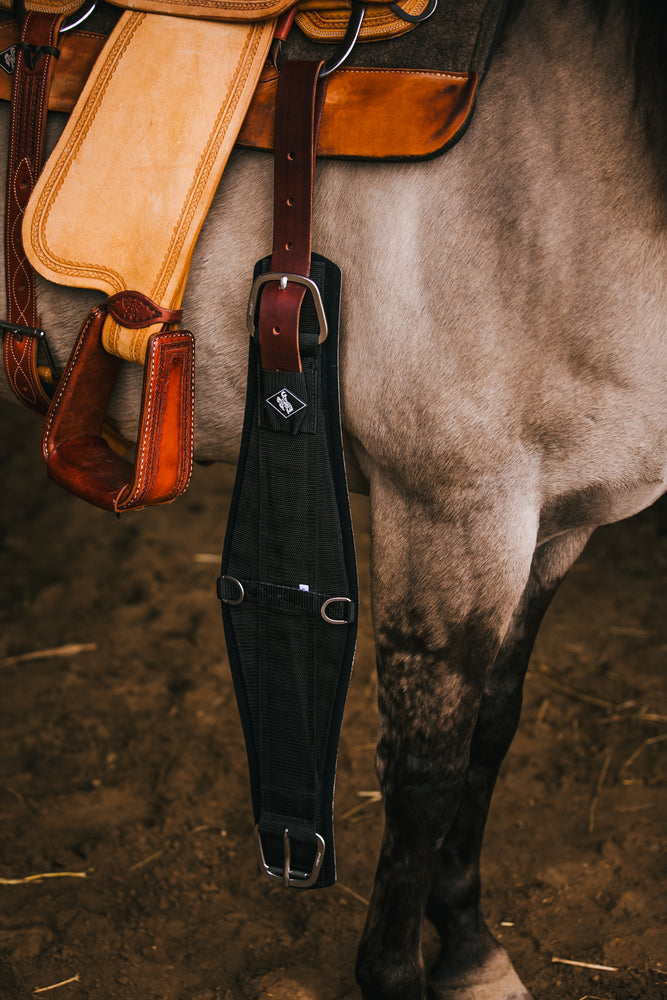 Western Neoprene Cinch - Equinnovations