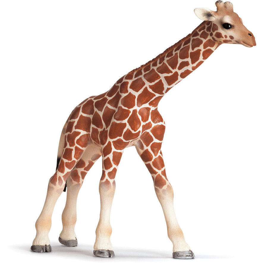 Schleich Giraffe Calf