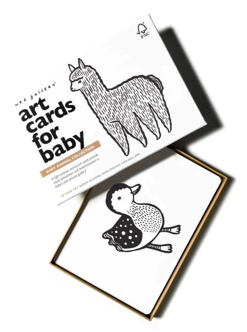 Baby Animal Art Cards