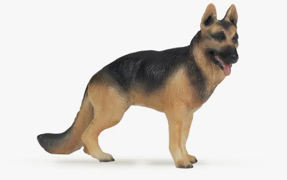 Dog - German Shepherd