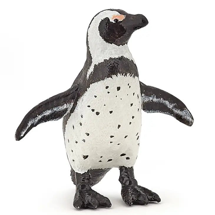 Penguin - African Penguin