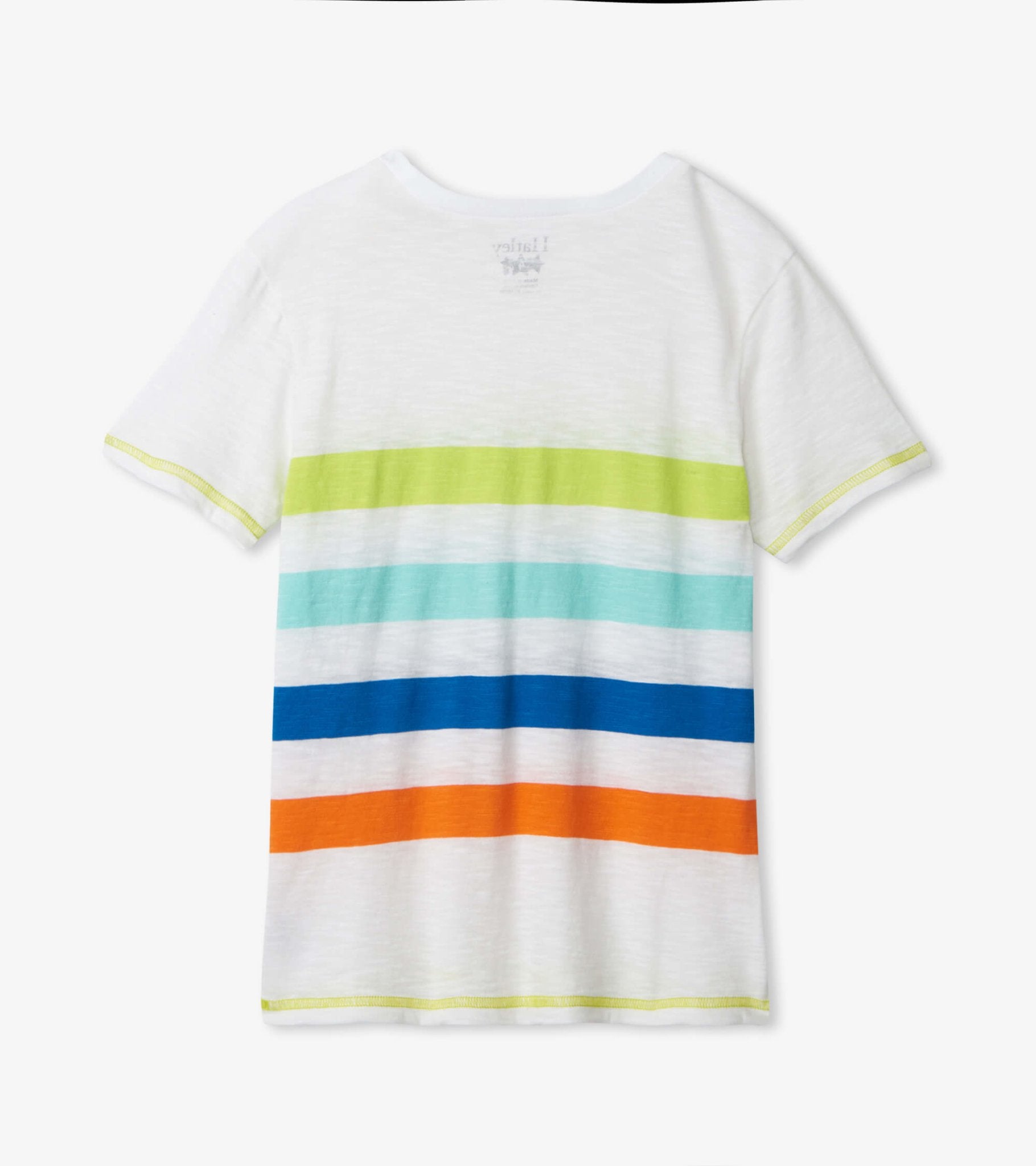 Primordial Stripes Graphic Tee