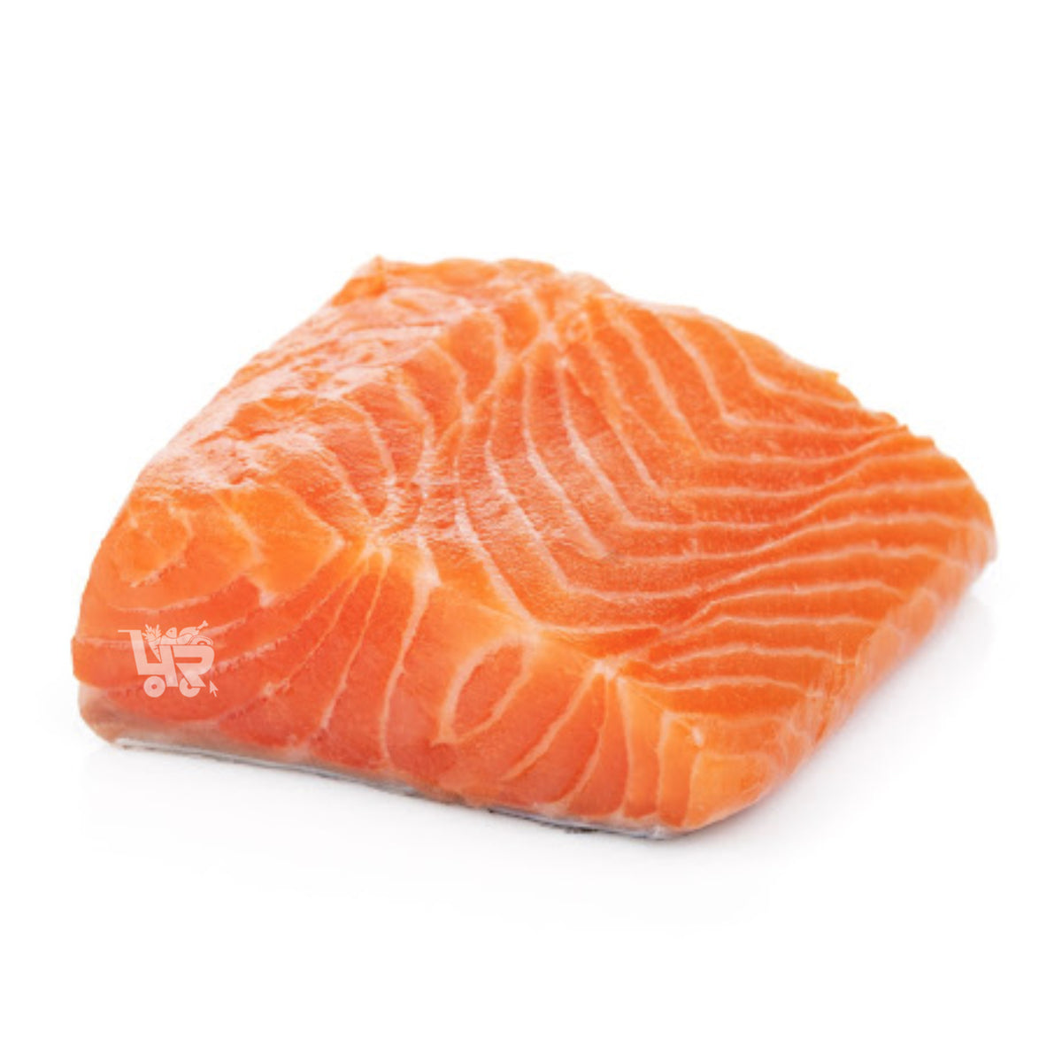 Salmon Meat & Fillet (Choose Variant) – 4R FRESH AND FROZEN