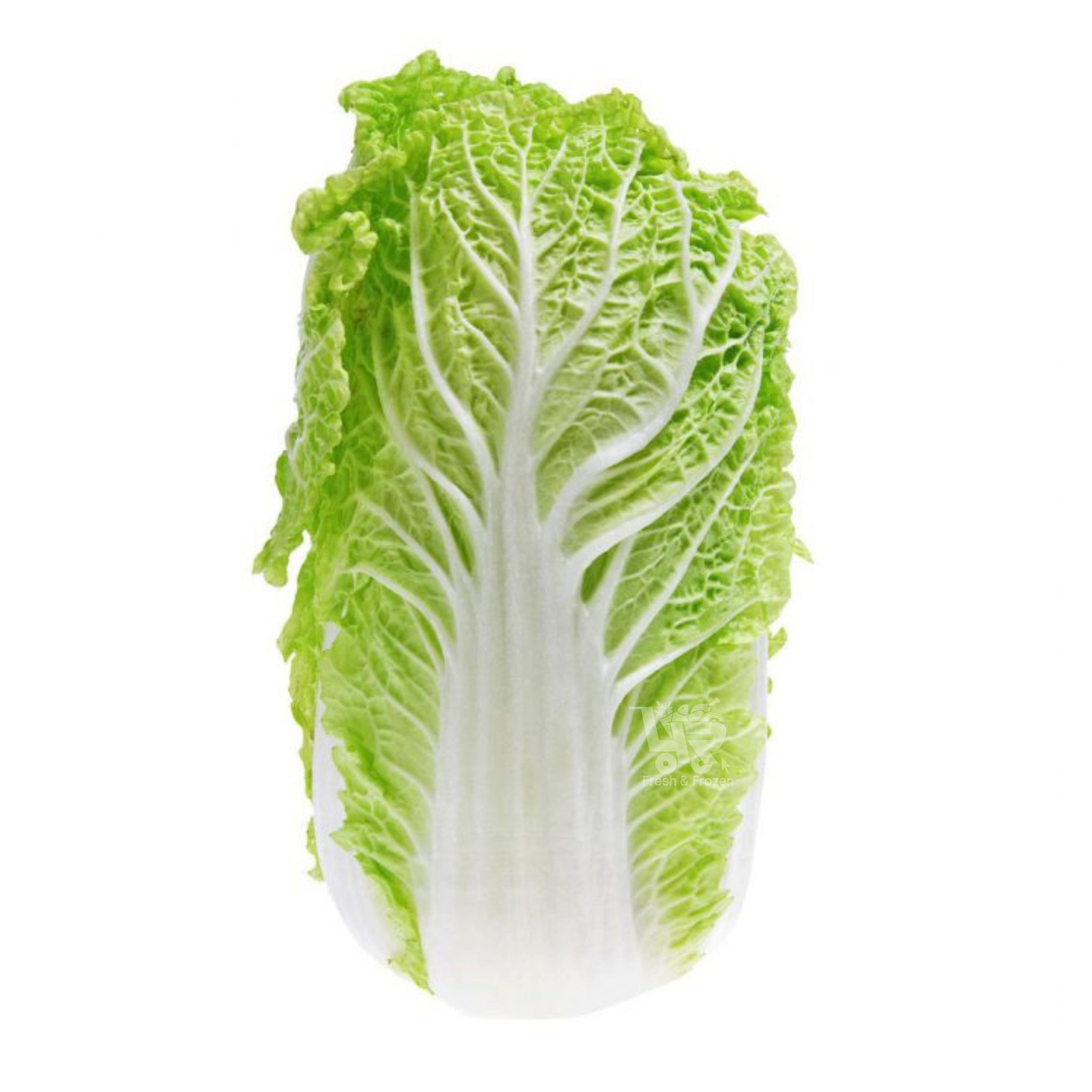 Pechay Wombok Chinese Cabbage Baguio Pechay – 4r Fresh And Frozen