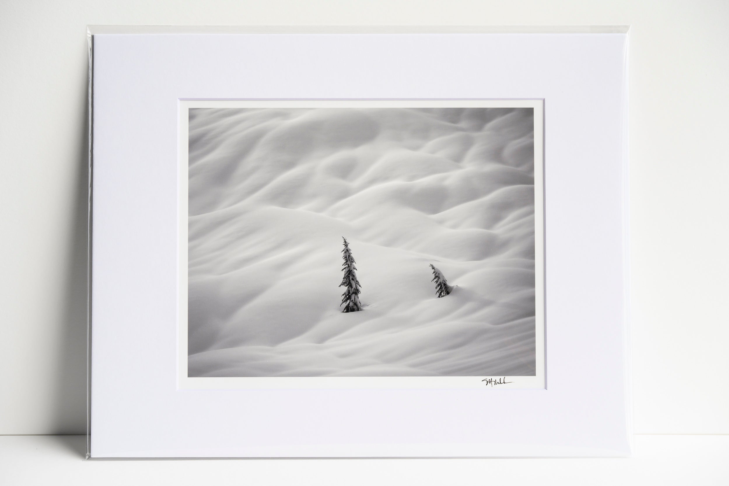 Trees in Waves of Snow on Big Snow Mountain: Matted 8x10 Print