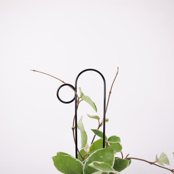 Plant Straws Small – plantstraws
