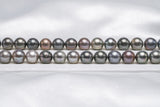 38pcs Mix Necklace - R/SR 11-12mm A quality Tahitian Pearl - Loose Pearl jewelry wholesale