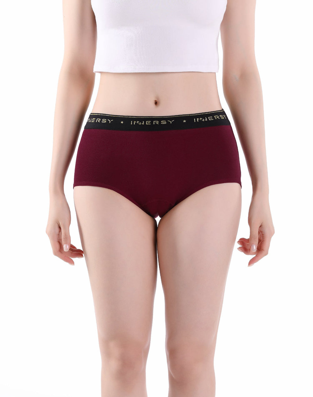 INNERSY Women's Plus Size XL-5XL Cotton Underwear High Waisted Briefs  Panties 4-Pack (2XL,Earthy Sunset) 