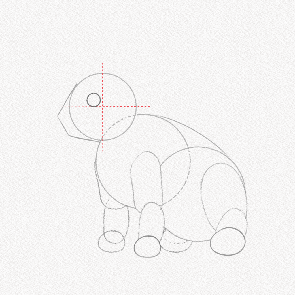 Comment dessiner un lapin