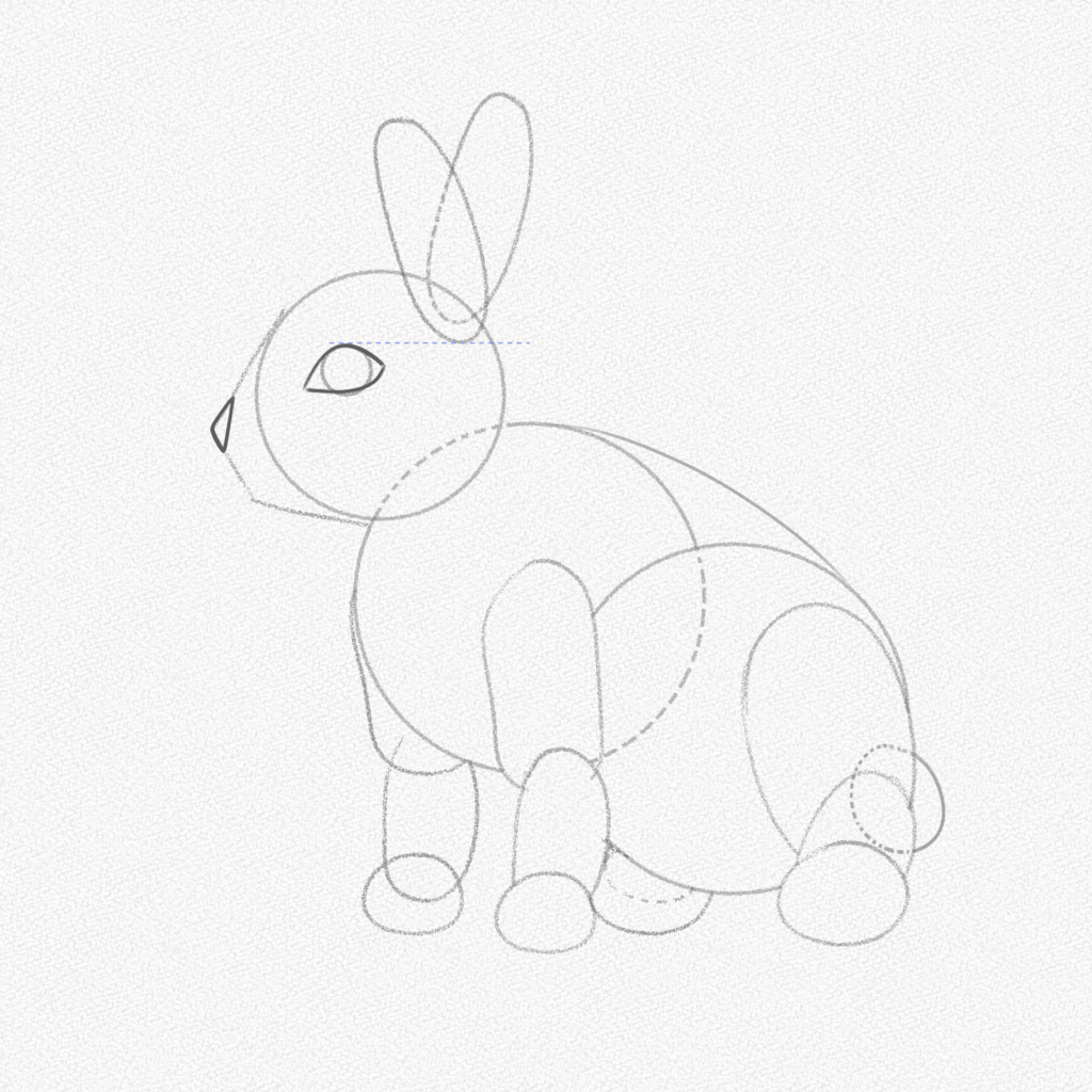 comment dessiner un lapin